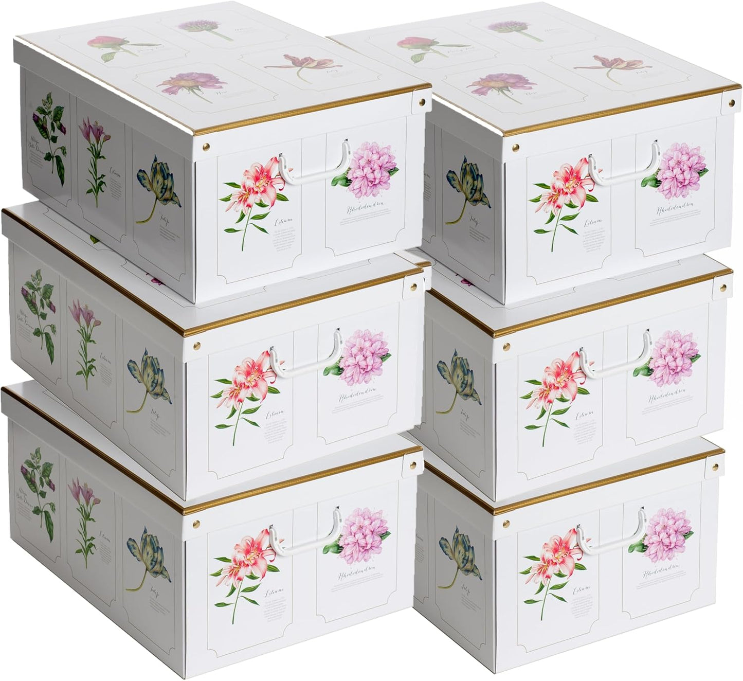 Lot de six boites de rangement en carton décor Botanic